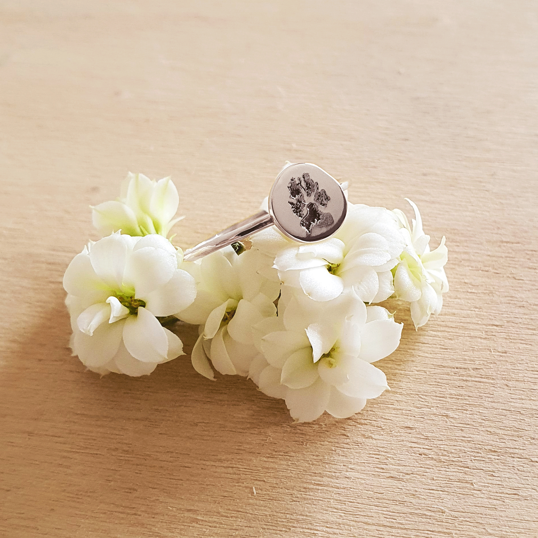 PARYFO Anello Rotante Antistress A Zampa, Argento Sterling 925, Ipoallergenico, Regalo Con Scatola