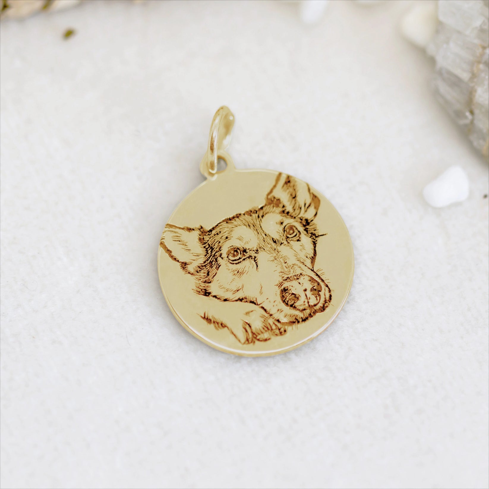 Cornice Personalizzata Con Il Nome Del Vostro Cane, Idea Regalo Ric... | Su MissHobby - Foto 3