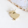 Ciondolo Dodo portafortuna argento petsoul ready